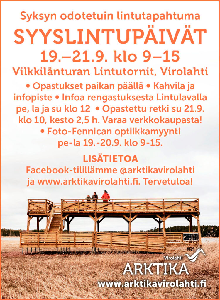 syyslintupaivat2025_sanomalehti-ilmo